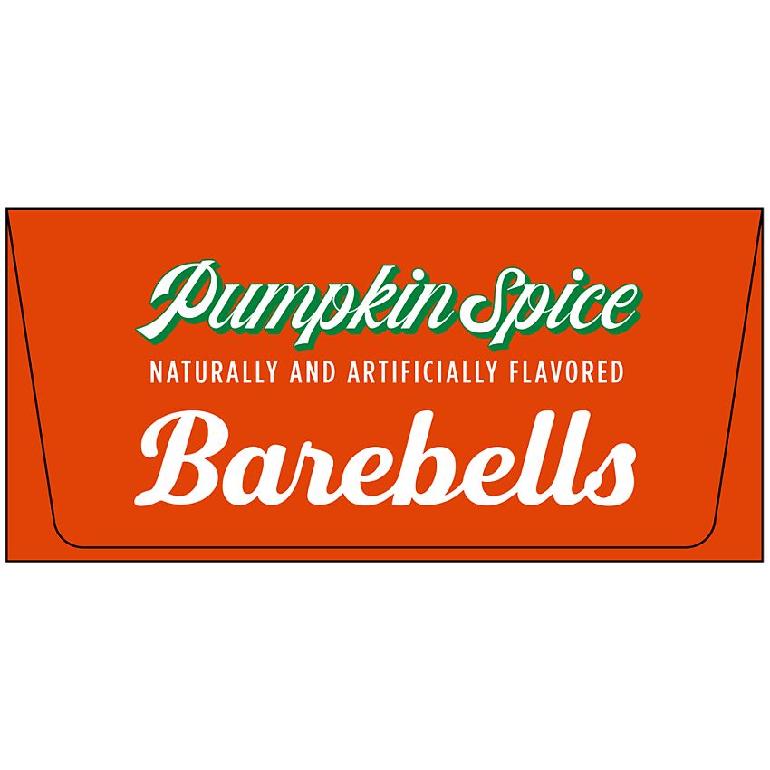Barebells Protein Bar - Pumpkin Spice (12 Bars)
