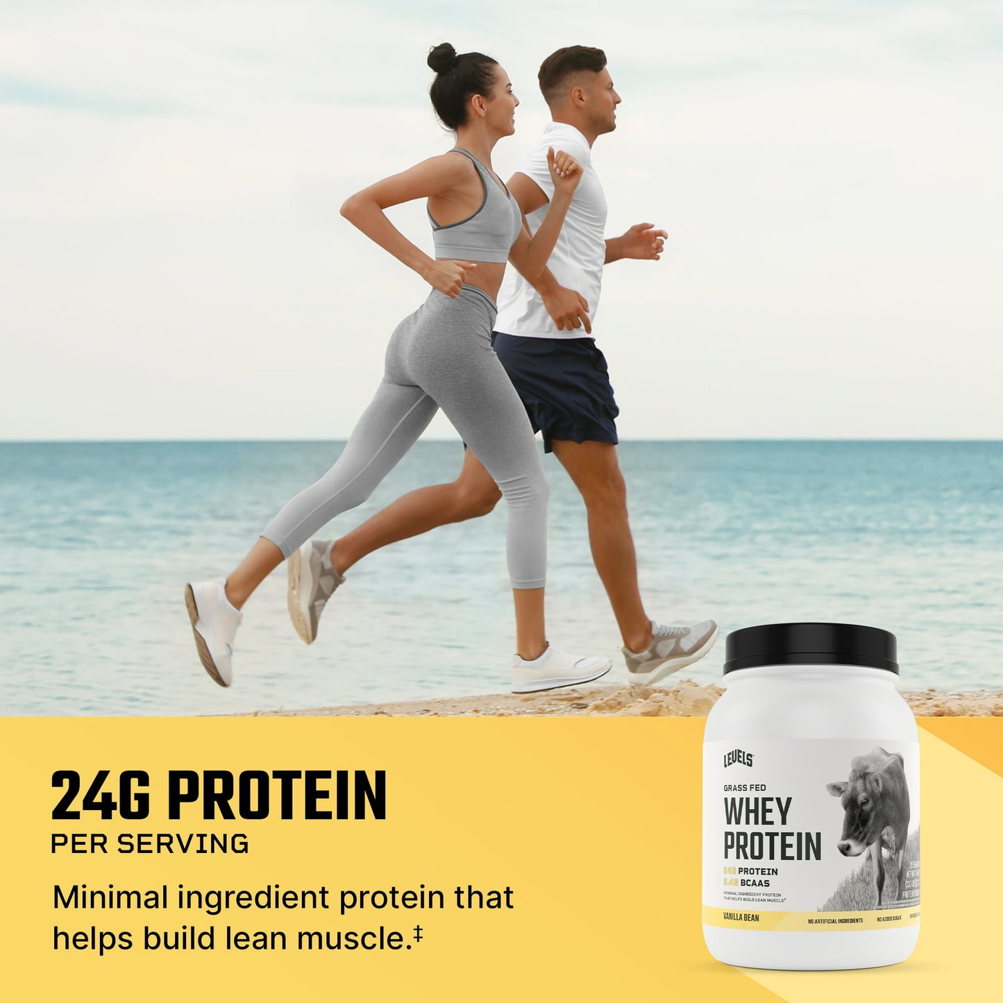 Levels Grass Fed Whey Protein Powder|No Artificials|24G of Protein|Vanilla Bean|1.48LB