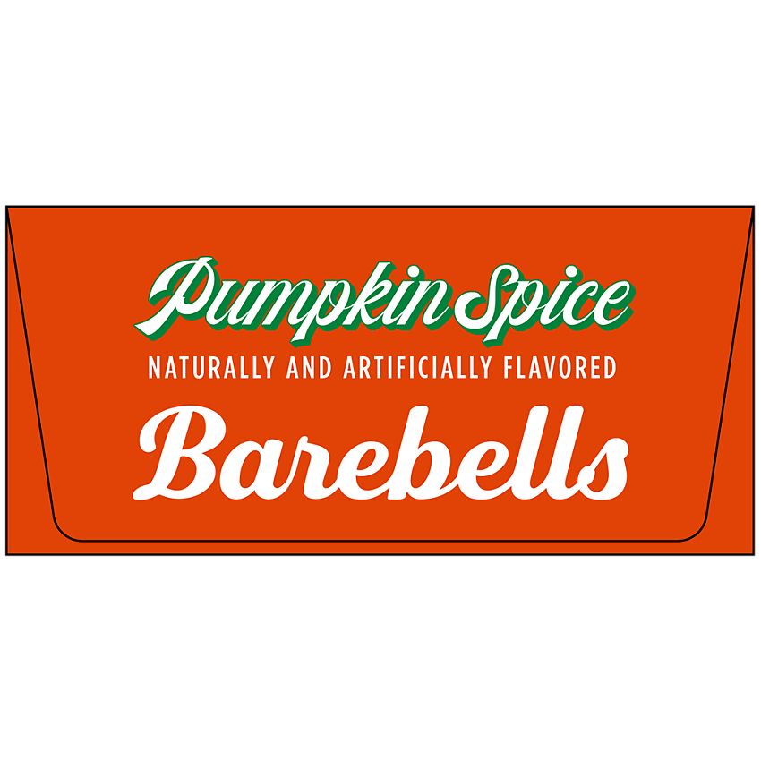 Barebells Protein Bar - Pumpkin Spice (12 Bars)